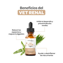 Cargar imagen en el visor de la galería, VET RENAL
