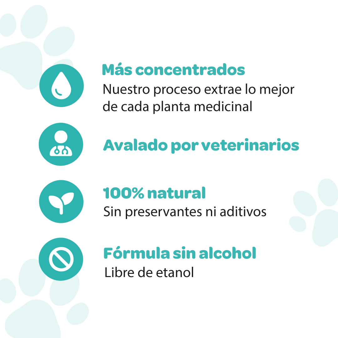 VET RENAL