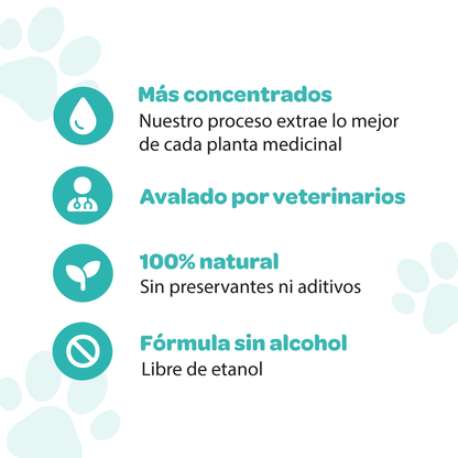 VET RENAL