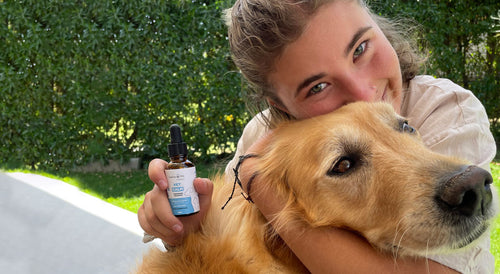 Foto-web-1.jpg__PID:d637ed75-8f56-4b38-9f0f-f4339c7d86a9