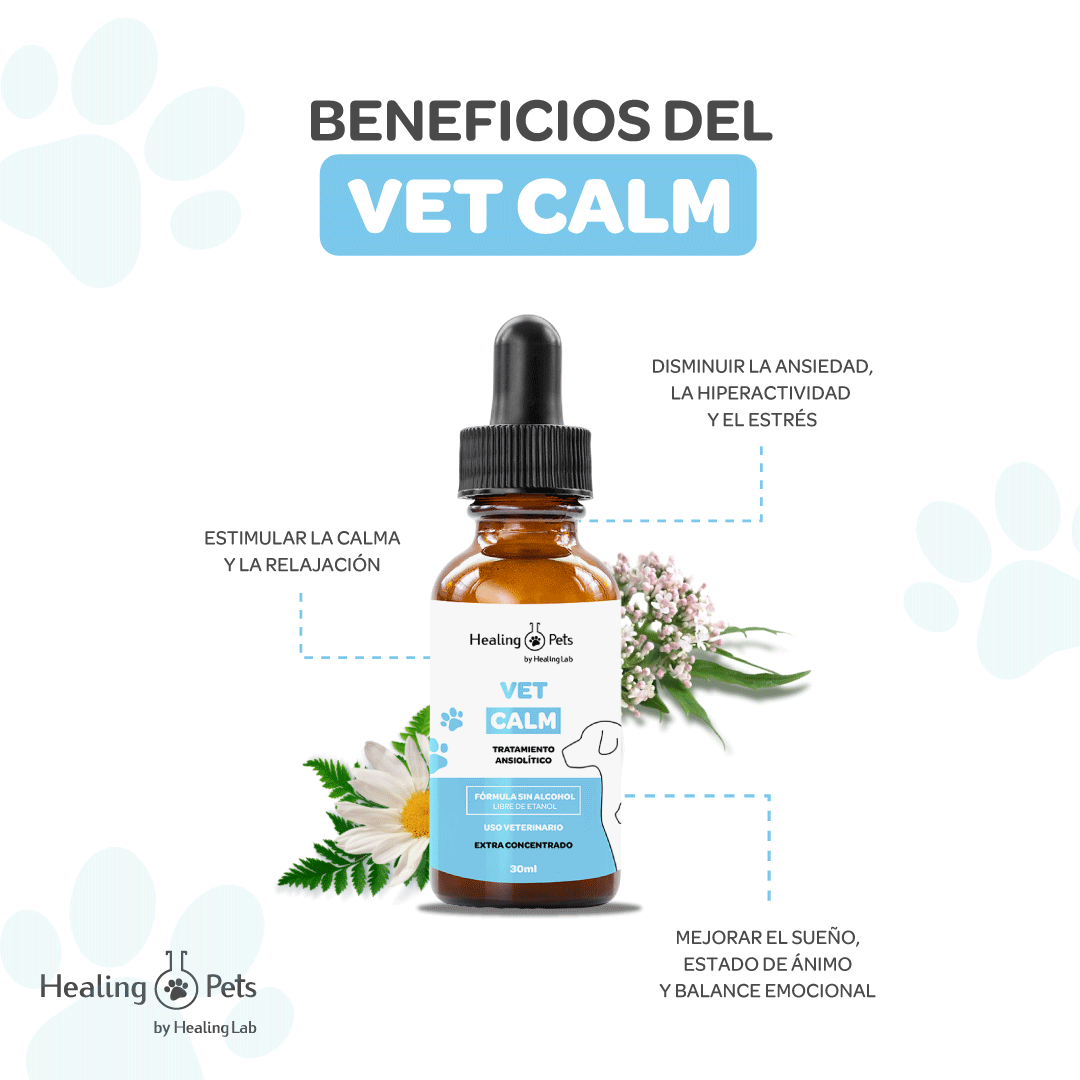 VET CALM