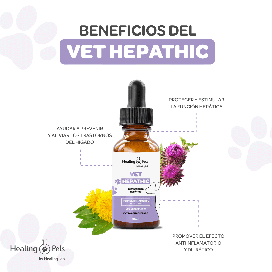 VET HEPATHIC