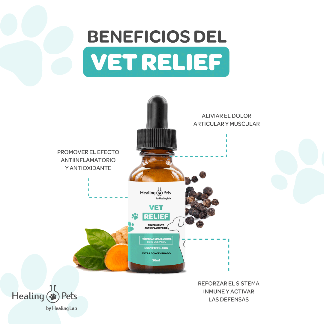 View of VET RELIEF – Healing Pets