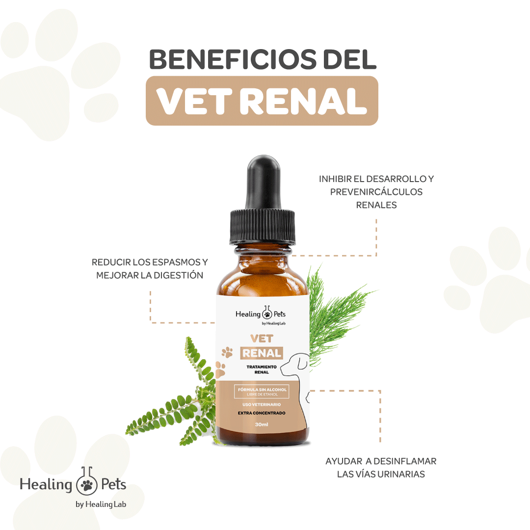 VET RENAL