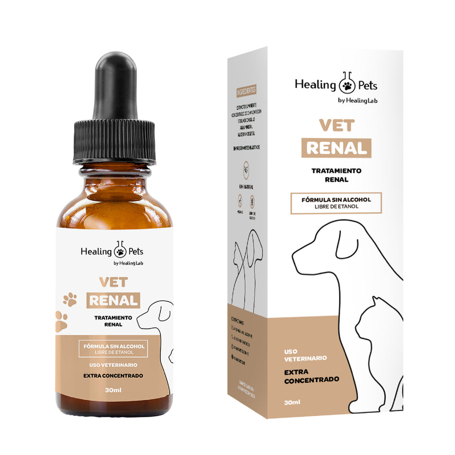 Vet Renal.jpg__PID:d13ecae3-dbe4-4bfc-bca0-fe2ed00d2e9a